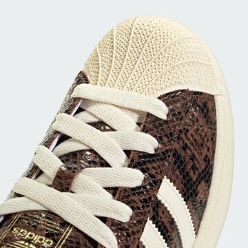 Baskets basses 'Superstar II' ADIDAS ORIGINALS en marron