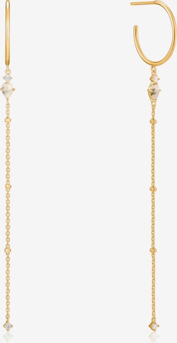 ANIA HAIE Earrings in Gold: front