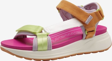 Sandales Tamaris en mélange de couleurs : devant