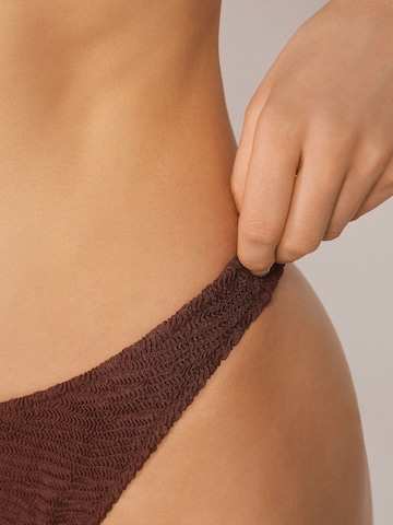CALZEDONIA Bikini Bottoms 'Crinkle Waves' in Brown