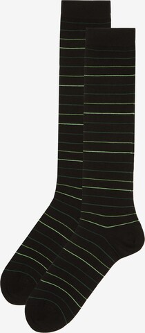 INTIMISSIMI Socks in Green: front