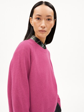 ARMEDANGELS Pullover 'DILIRIAA' in Pink