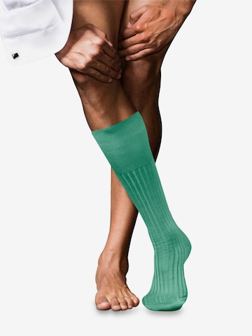 FALKE Knee High Socks 'No. 13 Finest Piuma Cotton' in Green: front
