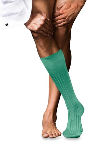 FALKE Kniestrümpfe 'No. 13 Finest Piuma Cotton'‌‌‌‌‌‌‌‌‌ in Grün: Vorderseite