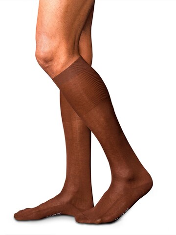 FALKE Knee High Socks 'No. 9 Pure Fil d´Écosse' in Brown: front