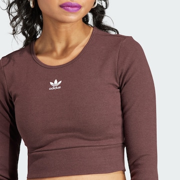 T-shirt 'Essentials' ADIDAS ORIGINALS en marron