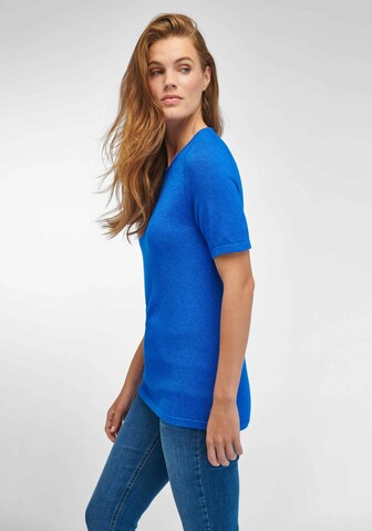 Peter Hahn Sweater in Blue