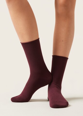 CALZEDONIA Socks in Red: front