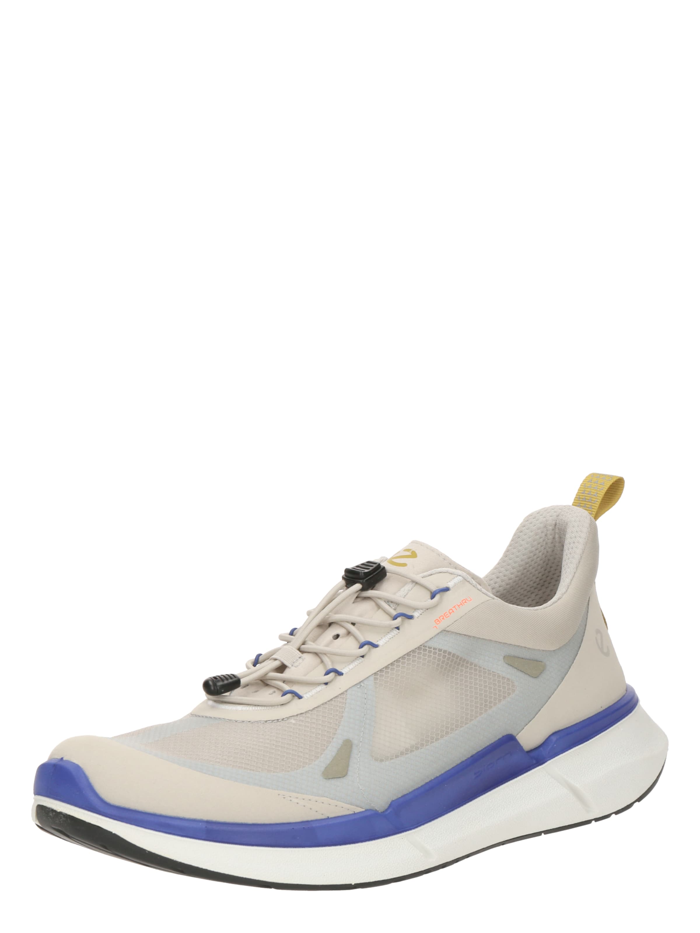 Baskets basses 'Biom 2.2' ECCO en gris : devant