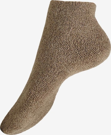 Calzino 'Homesocks' di KUNERT in marrone: frontale