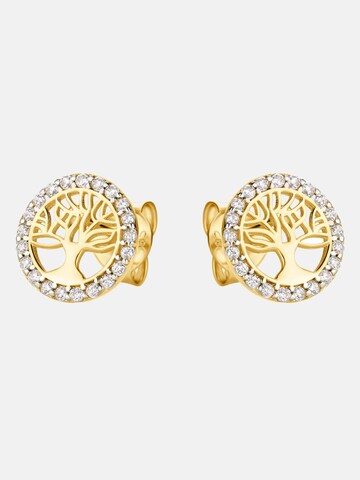 DIAMANT LETERNEL Earrings in Gold: front