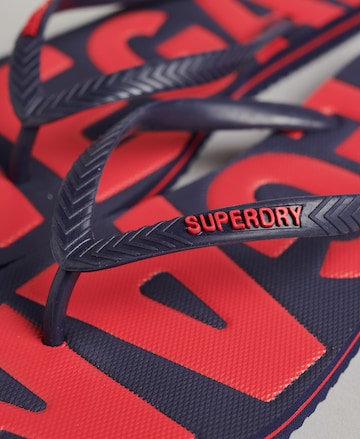 Superdry Teenslipper in Blauw