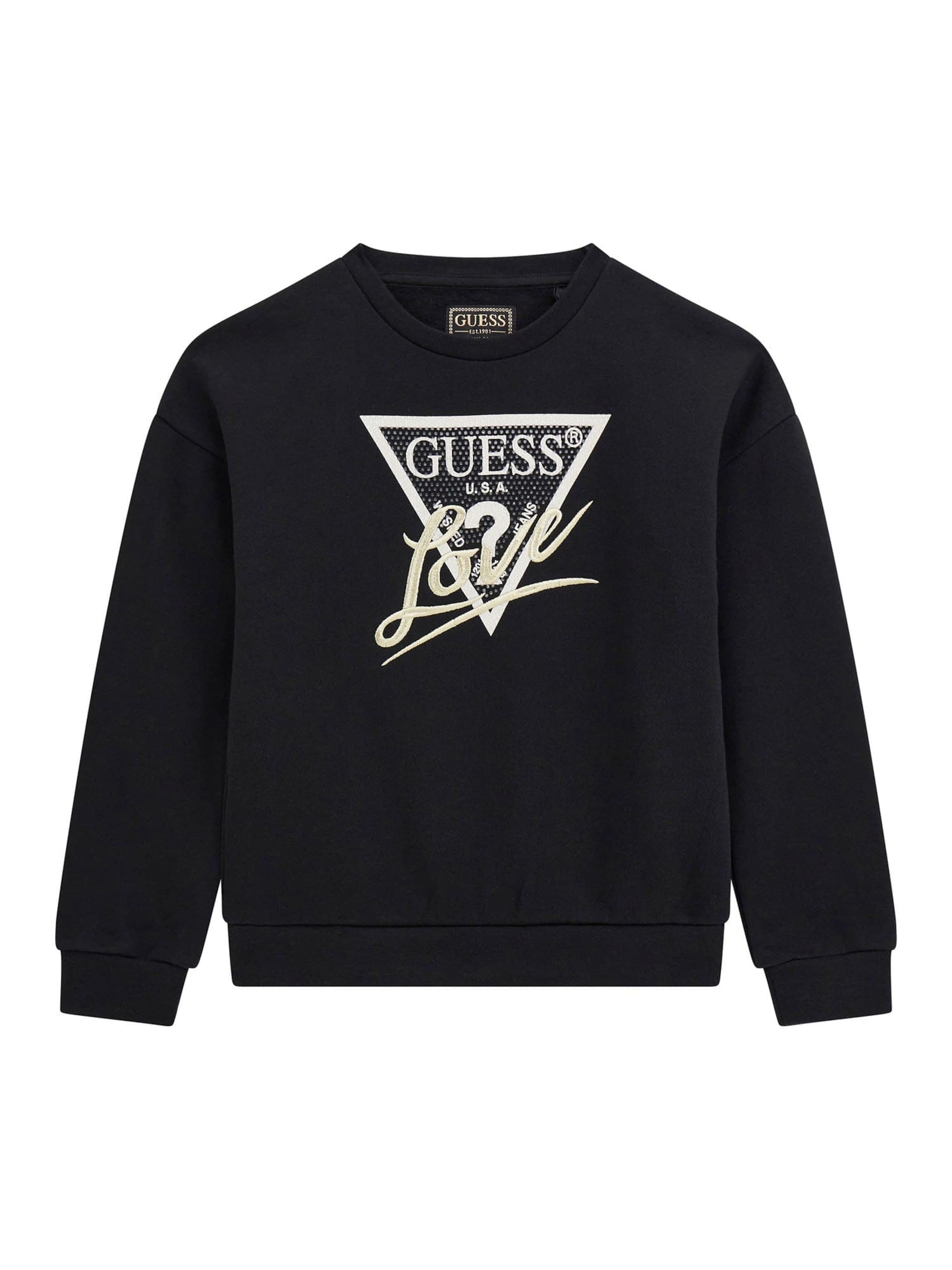 GUESS Sweatshirt in Black: front