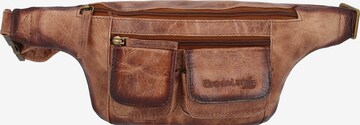 Greenland Nature Fanny Pack 'Mascu & Line' in Brown: front