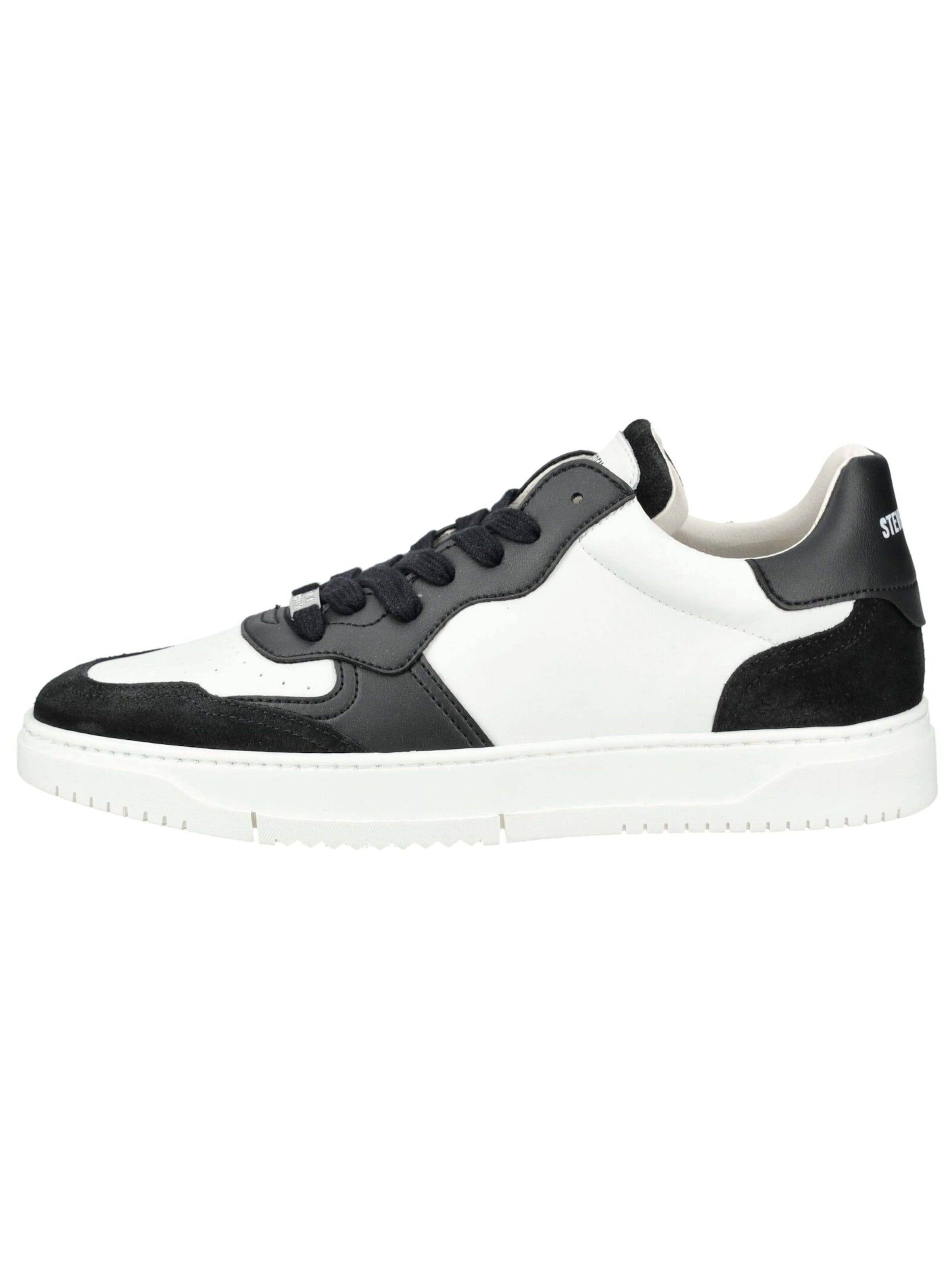 STEVE MADDEN Sneaker in Schwarz