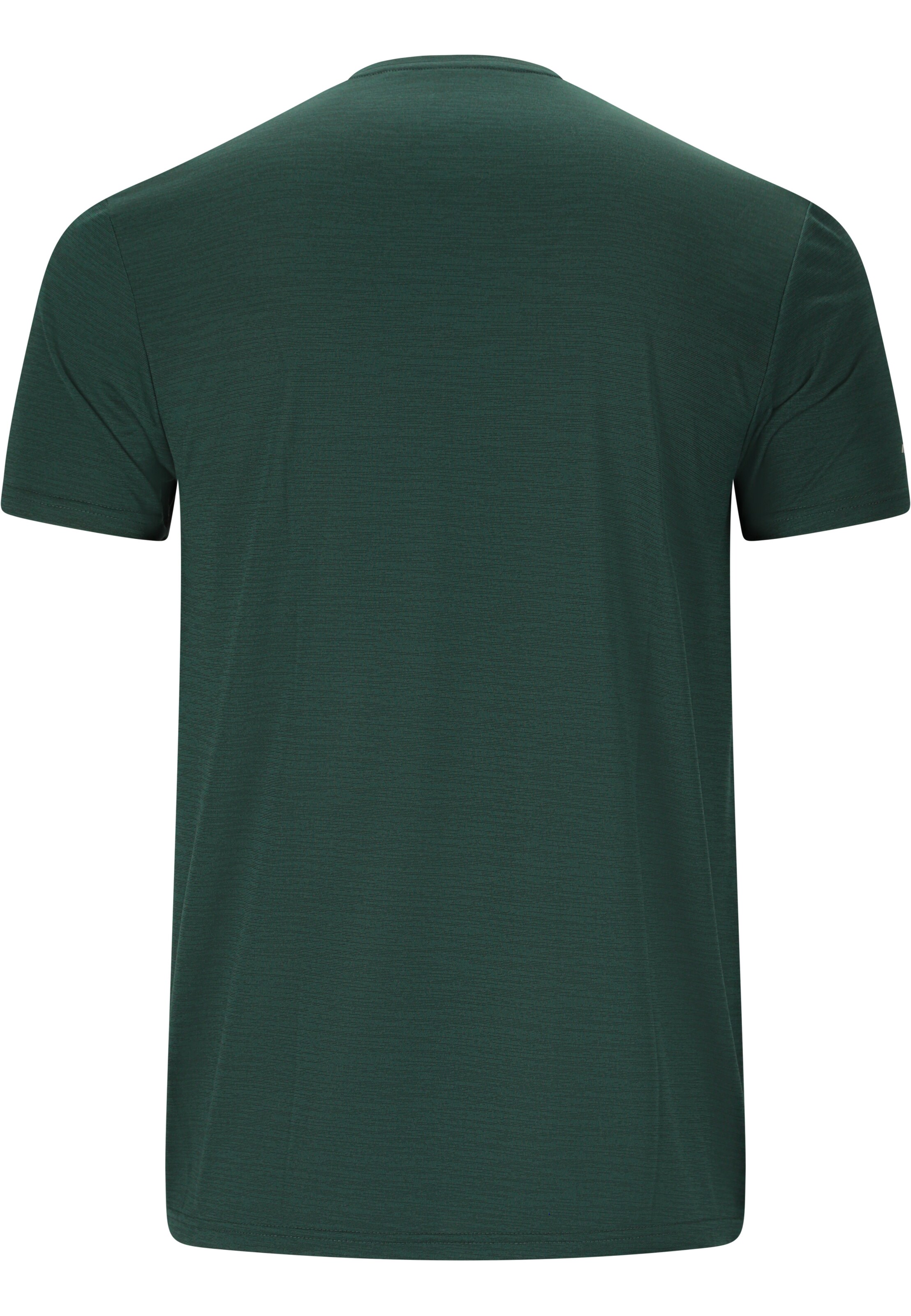 ENDURANCE Shirt 'PORTOFINO' in Green