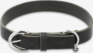 Picard Pet accessories 'Strolch' in Black: front
