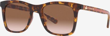 Lunettes de soleil COACH en marron : devant