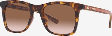 Lunettes de soleil COACH en marron : devant