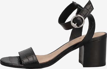 MEXX Strap Sandals in Black