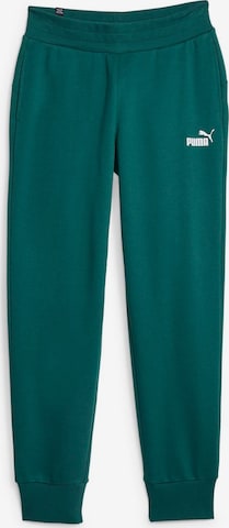 Pantalon de sport 'Essential' PUMA en vert : devant