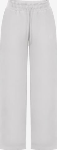 Pantalon Smilodox en gris : devant