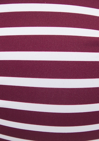 VENICE BEACH Push-up Bikini Top in Red