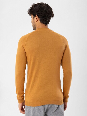 Dandalo Pullover in Orange