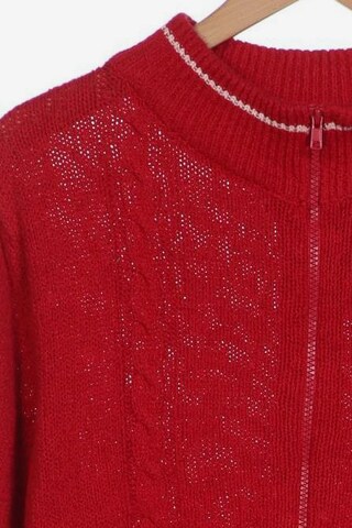 HAMMERSCHMID Sweater & Cardigan in XL in Red