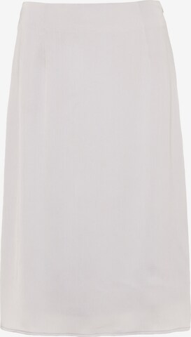 usha BLACK LABEL Skirt in Grey: front