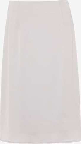 usha BLACK LABEL Skirt in Grey: front