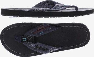 CAMP DAVID Sandals & Slippers in 43 in Grey: front