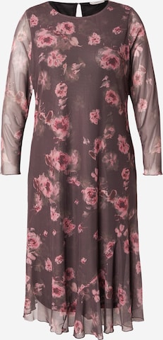 ONLY Carmakoma Mekko 'CARLoura' värissä ruskea: etupuoli