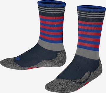 FALKE Socks 'Active Frog' in Blue: front