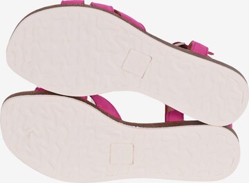 Apple of Eden Strap Sandals 'Irina' in Pink