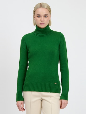Pulover de la Influencer pe verde: față