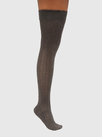 Lycille Overknee Strümpfe in Grau
