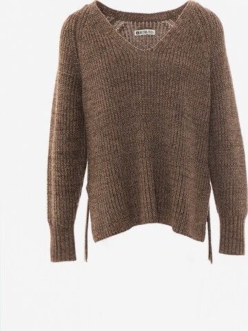 BIG STAR Sweater 'Gardenia' in Brown: front