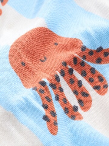 Next Underpants in Mixed colors