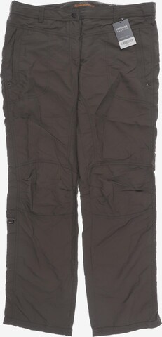 ICEPEAK Pants in XXL in Brown: front