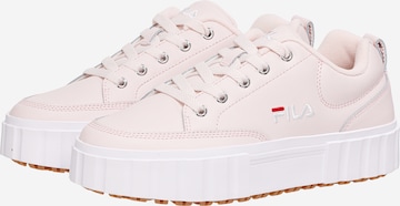 Sneaker bassa di FILA in rosa