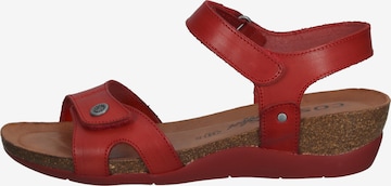 COSMOS COMFORT Strap Sandals in Red: front