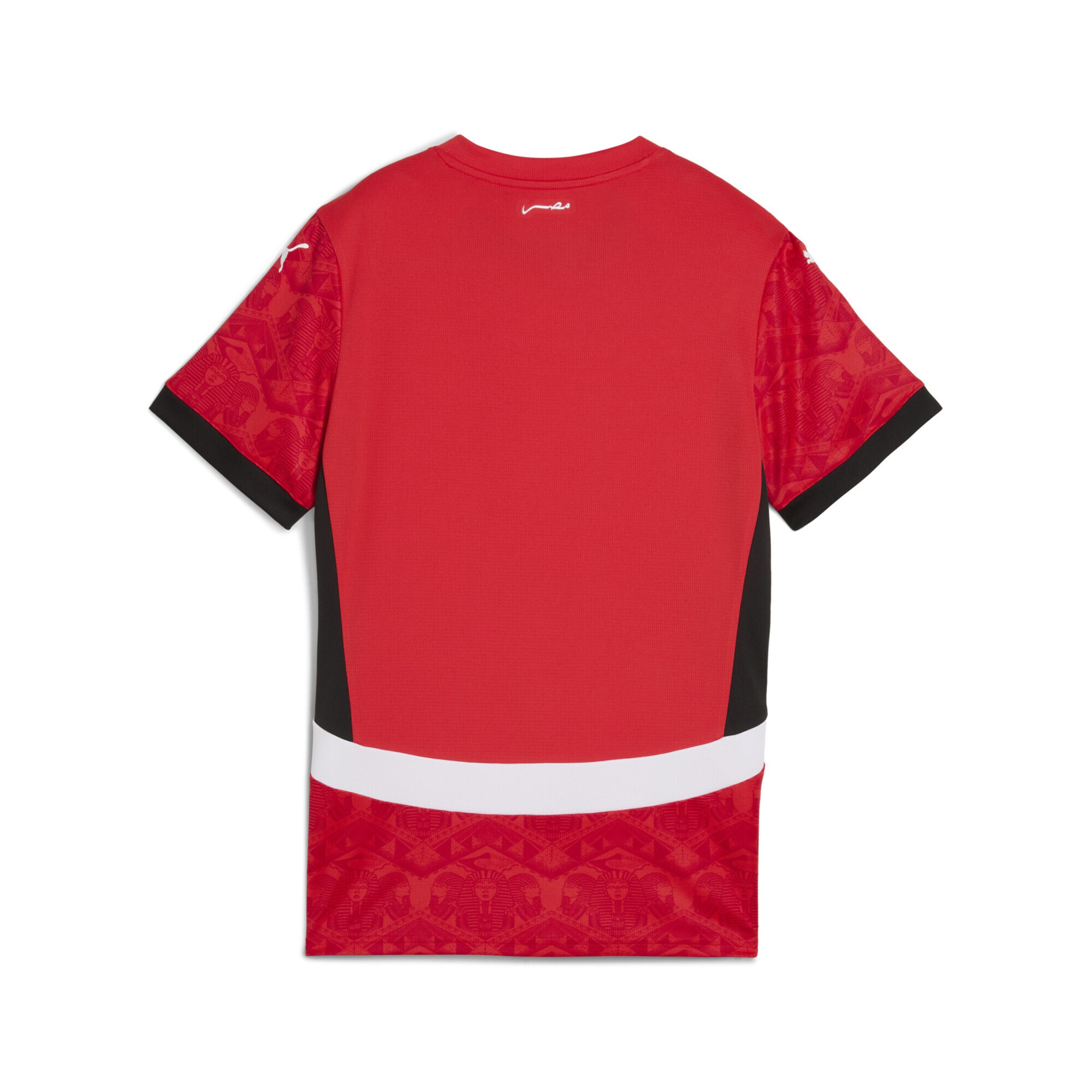 PUMA Trikot in Rot