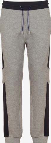 GAS Jeans Tapered Pants 'N.RADIR' in Grey: front