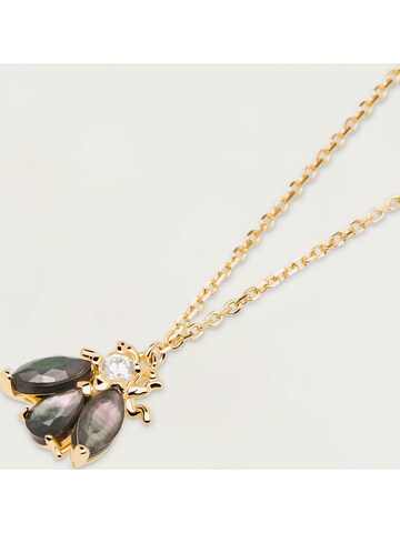 P D PAOLA Necklace in Yellow