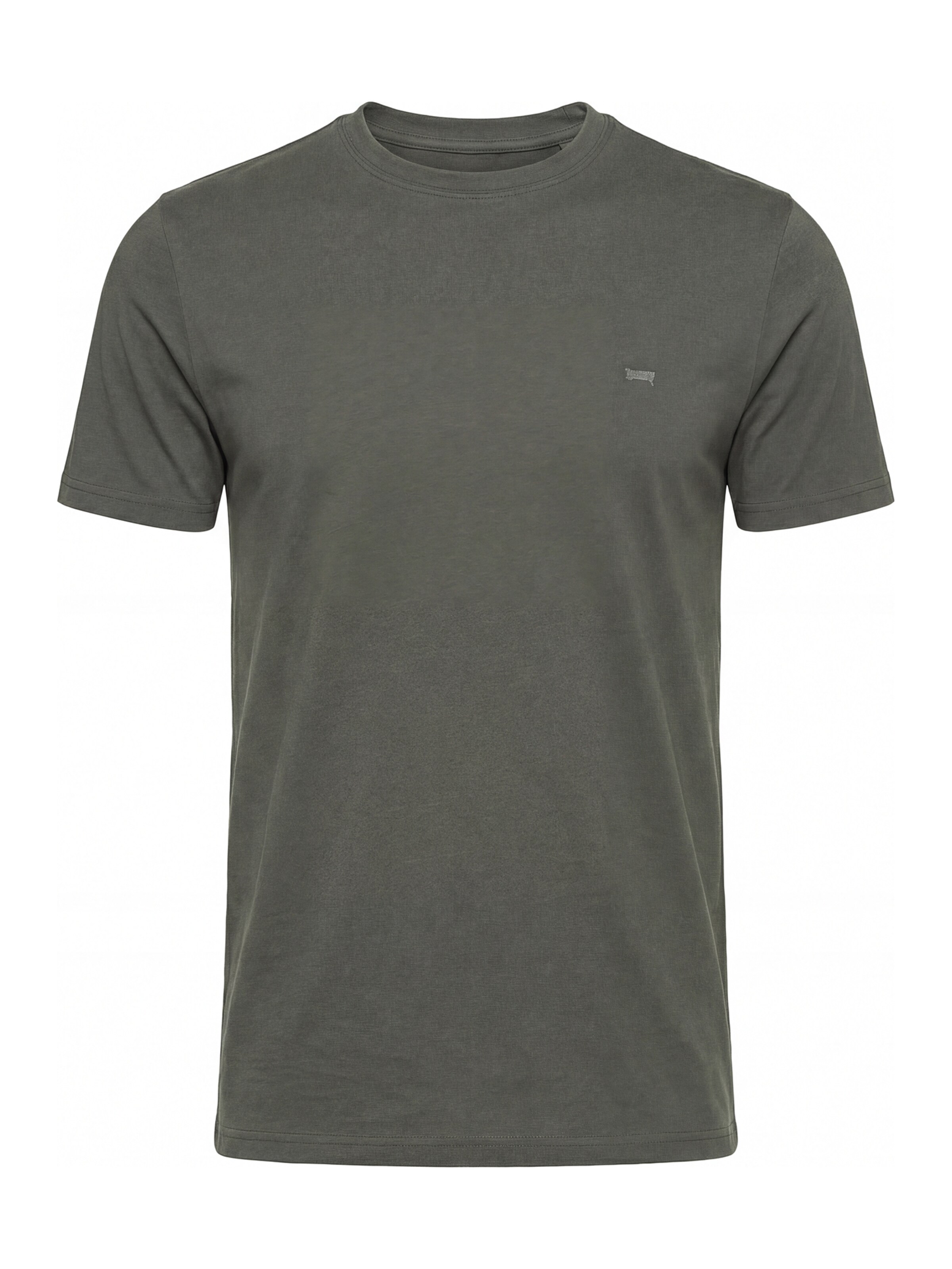 Carrera Jeans Shirt 'Basic'‌‌‌‌‌‌‌‌ in Grün: Vorderseite