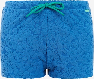PROTEST Sports swimwear 'PRTTeddy JR' in Blue: front