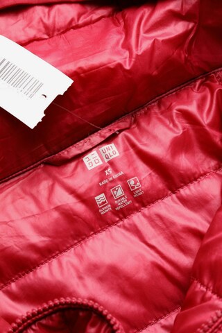 UNIQLO Jacket & Coat in XS in Pink