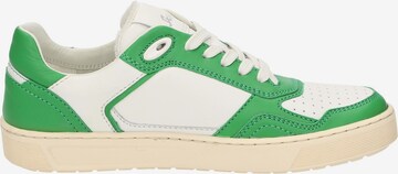 SIOUX Sneaker ' Tedroso-DA-700 ' in Grün