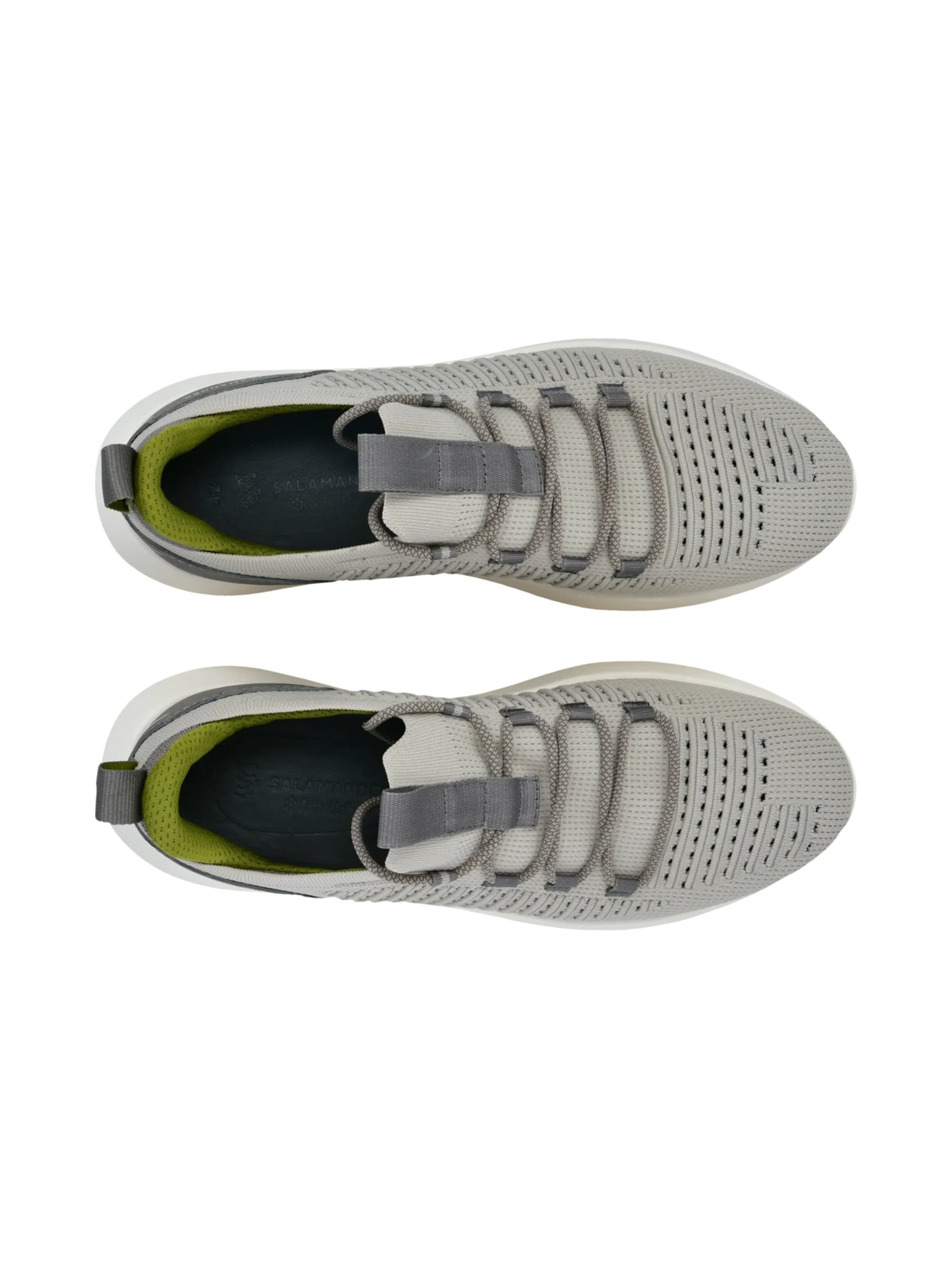 Baskets basses SALAMANDER en gris